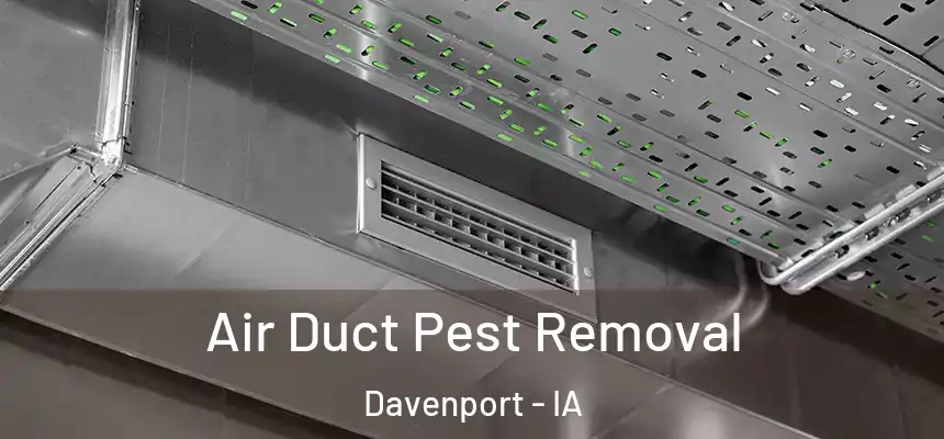  Air Duct Pest Removal Davenport - IA