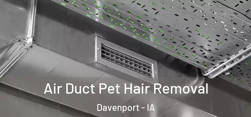  Air Duct Pet Hair Removal Davenport - IA