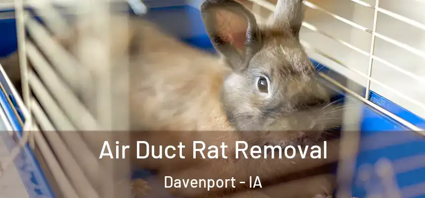  Air Duct Rat Removal Davenport - IA