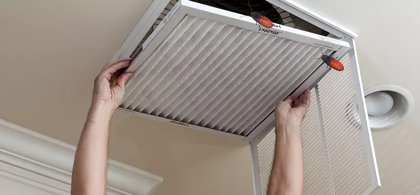 Preventive Cockroach-Proofing for Ducts in Davenport