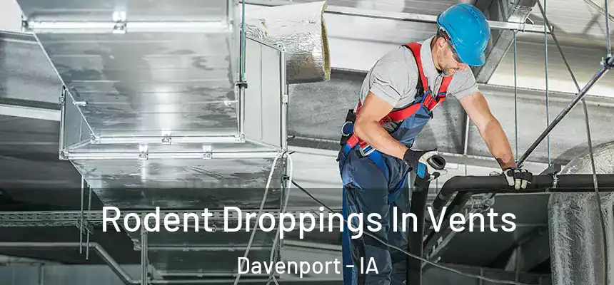  Rodent Droppings In Vents Davenport - IA