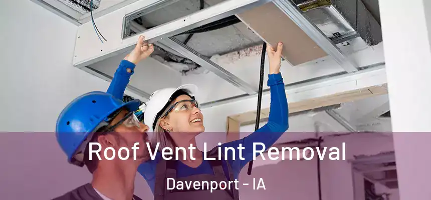  Roof Vent Lint Removal Davenport - IA