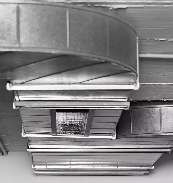 Professional Air Duct Pet Hair Removal in Davenport, IA