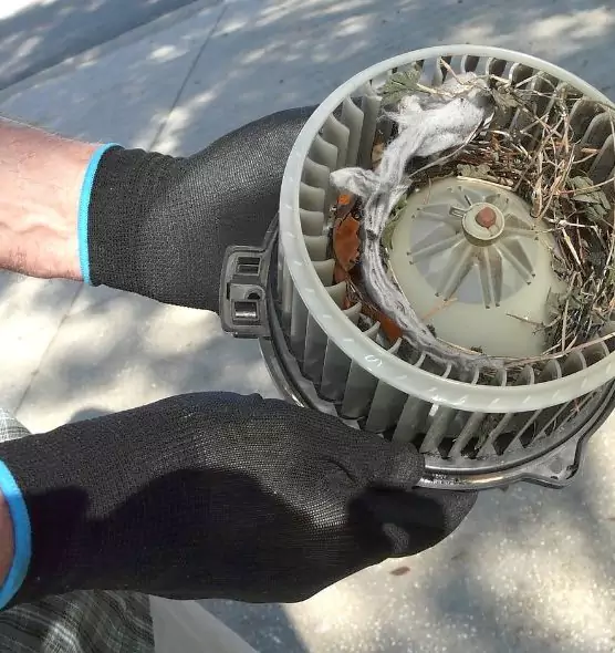 About Air Duct Rat Removal in Davenport, IA