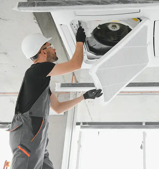 About Air Duct Rodent Removal in Davenport, IA