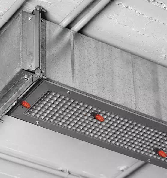 Affordable Insect Removal from Air Ducts in Davenport, IA