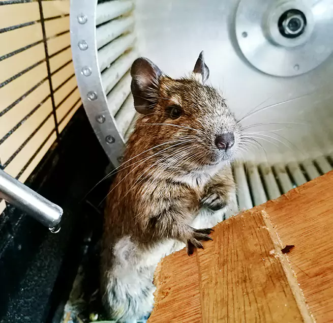 Why Homeowners & Businesses Trust Us Davenport, IA