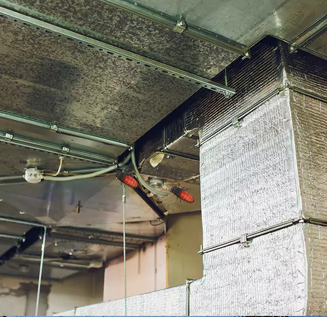 Why Homeowners & Businesses Trust Us Davenport, IA?