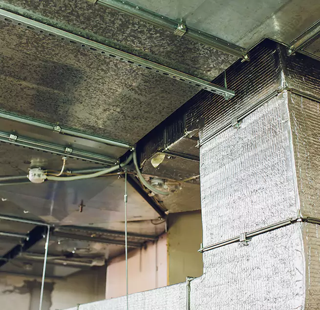 Why Homeowners & Businesses Trust Us in Davenport, IA?