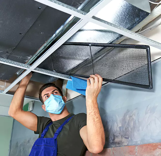  Why Homeowners Businesses Trust Us  in Davenport, IA?